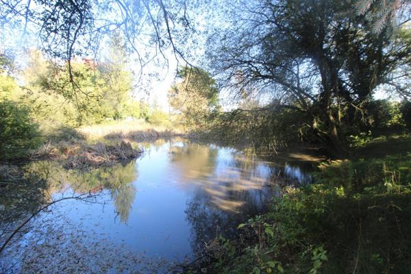 UN BOL D'AIR et de DETENTE