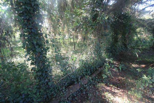 UN BOL D'AIR et de DETENTE