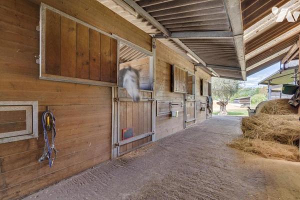 A VENDRE Exceptionnelle propriété équestre
