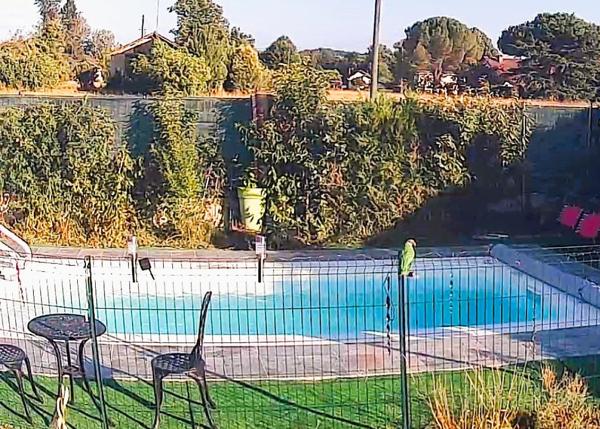 Maison individuelle de plain pied