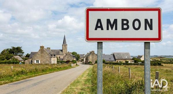 Murs commerciaux  à vendre 449 m² Ambon