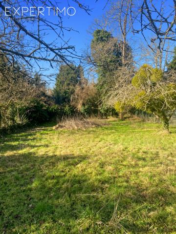 Auvers-Saint-Georges (91580) NOUVELLE EXCLUSIVITE EXPERTIMO AUVERS SAINT GEORGES PAVILLON 3 CHAMBRES SUR 2493 M2 DE TERRAIN