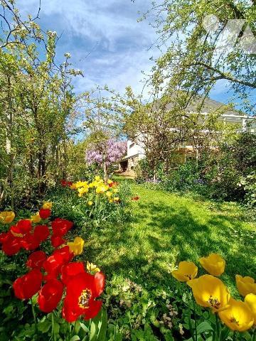 NOUVAUTE - SEULEMENT CHEZ TRENTE CINQ NOTAIRES - Dans une rue calme du quartier Beausoleil - ce...