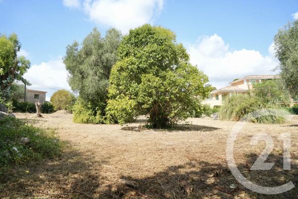 Terrain à vendre  2513 m 2   ROQUEFORT LES PINS  - 06