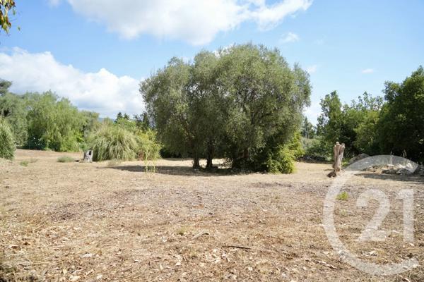 Terrain à vendre  2513 m 2   ROQUEFORT LES PINS  - 06