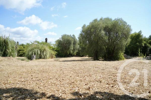 Terrain à vendre  2513 m 2   ROQUEFORT LES PINS  - 06