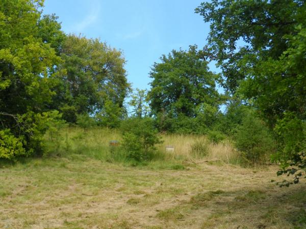 Terrain constructible 2500 m2