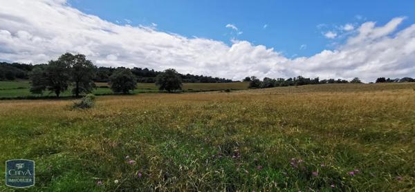 Terrain à vendre 5436m²