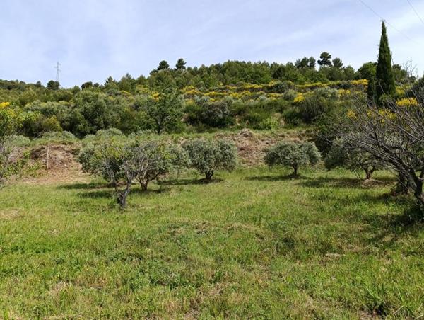 Magnifique terrain 1840 m2 vue panoramique !