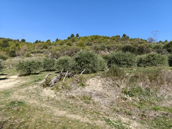 Magnifique terrain 1840 m2 vue panoramique !