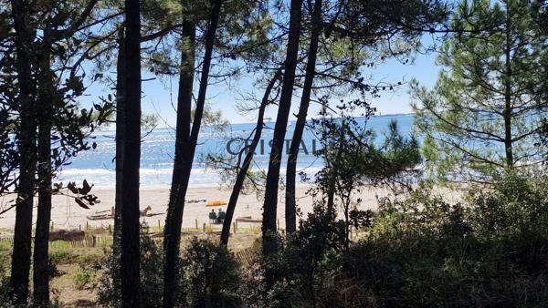 MAISON PROCHE PLAGE DE SUZAC Meschers-sur-Gironde (17132)