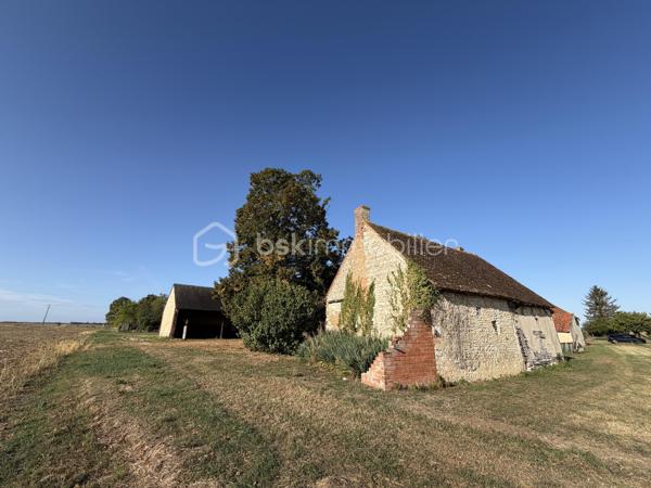 // Visite 3D sur demande // 

À MÉZIÈRES-EN-GÂTINAIS, à proximité de l’autoroute A19 et à seulement 20 minutes de Montargis en voiture, venez découvrir cette fermette à rénover offrant un beau potentiel.

Elle se compose d’une habitation à rénover ainsi que d’une dépendance d’environ 500 m², idéale pour un artisan, une activité professionnelle, du stockage ou un collectionneur.

Les toitures sont en très bon état, un véritable atout pour ce type de propriété.

Les + :

Fermette à rénover
Dépendance d’environ 500 m²
Toitures en très bon état
Idéal artisan ou collectionneur
Belle capacité de stockage
A19 à proximité
20 min de Montargis