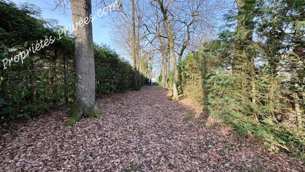 Maison Vineuil 10 pièce(s) 132 m2