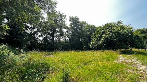 Terrain Medis 3 223 m² viabilisé + possibilité d'étendre à 5 267m²