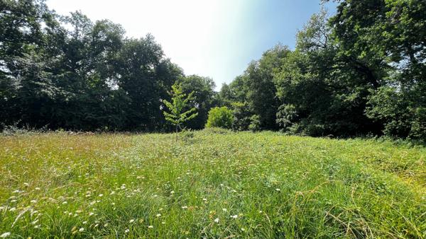 Terrain Medis 3 223 m² viabilisé + possibilité d'étendre à 5 267m²