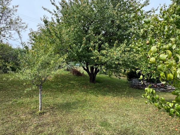 PAVILLON INDIVIDUEL 3/4 CHAMBRES AVEC GRAND JARDIN
