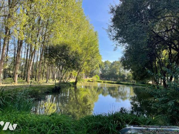 Etang