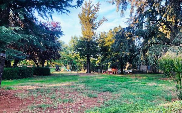 Maison à vendre    7 pièces • 250 m2 Toulouse