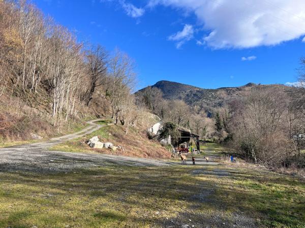 À vendre – Ensemble immobilier à fort potentiel professionnel entre Lourdes et Argelès-Gazost