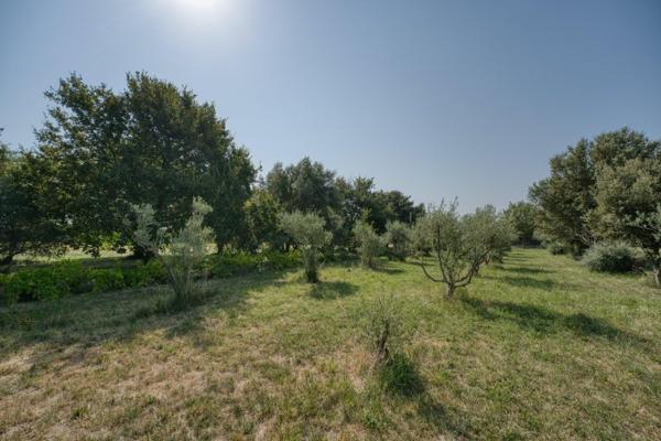 Vente / Maison à Camaret-sur-Aigues (84850)