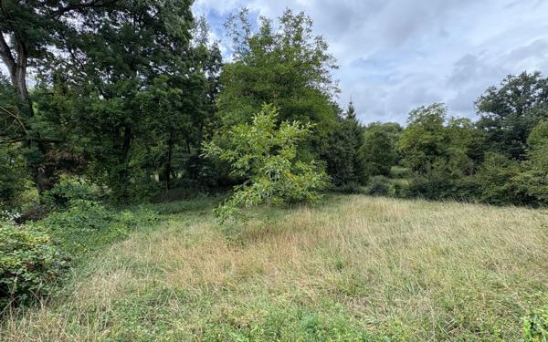 Maison à vendre    4 pièces •  Brigueil-le-Chantre