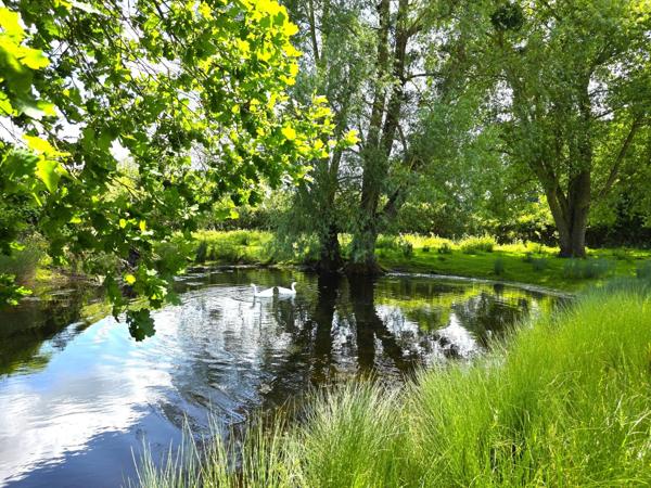 Au coeur de la campagne baugeoise, Longère de charme sur 2Hectares !