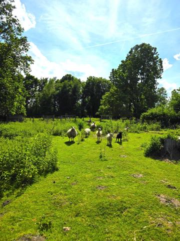 Au coeur de la campagne baugeoise, Longère de charme sur 2Hectares !