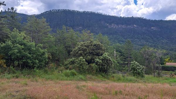 A VENDRE : DERNIER Terrain à bâtir de 2703m² au Brusquet (04420)