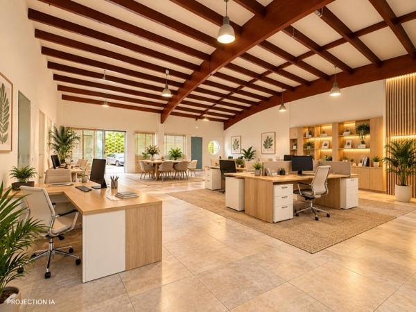 Location / Bureaux à Baie-Mahault (97122)