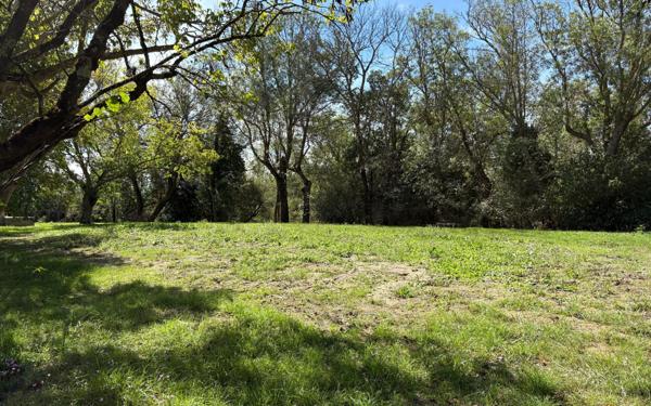 Maison à vendre    10 pièces •  Saint-Papoul