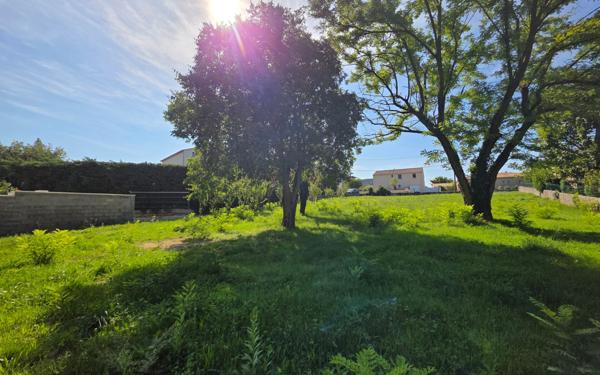 Terrain à vendre    La Bégude-de-Mazenc