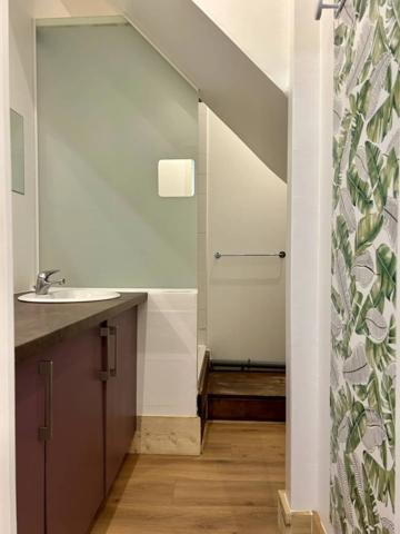 A Louer un studio meublé de 20m2 en souplex à Bordeaux quartier St Bruno/St Victor proche tram