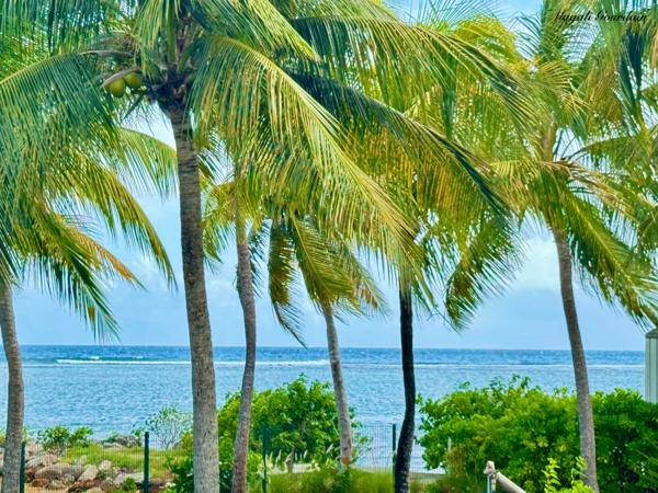 A VENDRE - T2 MEUBLÉ D’EXCEPTION VUE LAGON – SAINT-FRANÇOIS