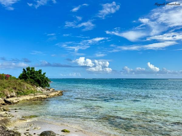 A VENDRE - T2 MEUBLÉ D’EXCEPTION VUE LAGON – SAINT-FRANÇOIS