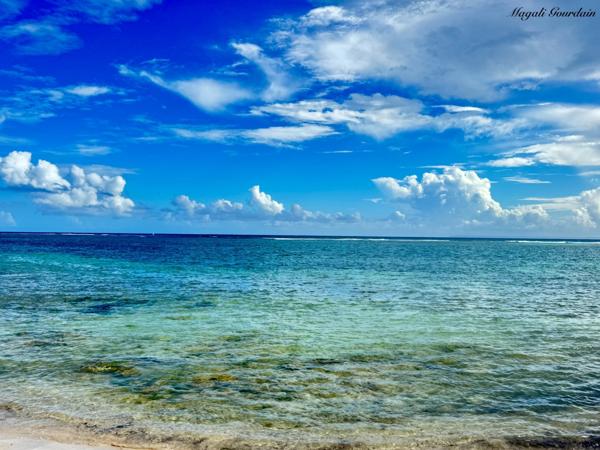 A VENDRE - T2 MEUBLÉ D’EXCEPTION VUE LAGON – SAINT-FRANÇOIS