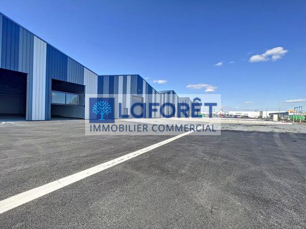 Location local commercial Bressuire - 7846 m² - 30 €/mois