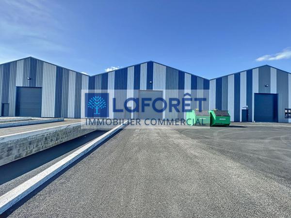 Location local commercial Bressuire - 7846 m² - 30 €/mois