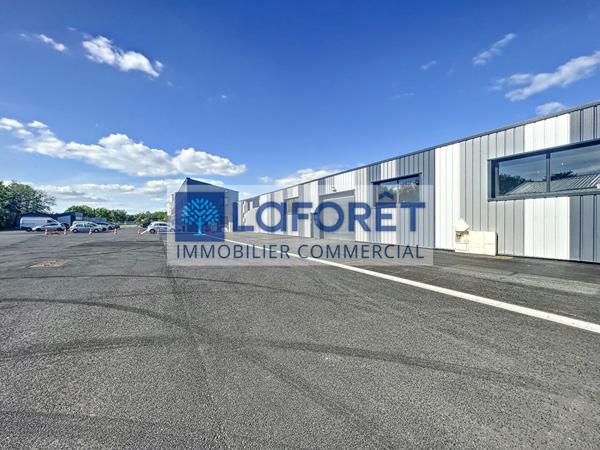 Location local commercial Bressuire - 7846 m² - 30 €/mois
