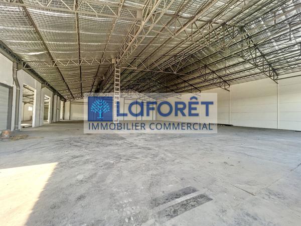 Location local commercial Bressuire - 7846 m² - 30 €/mois
