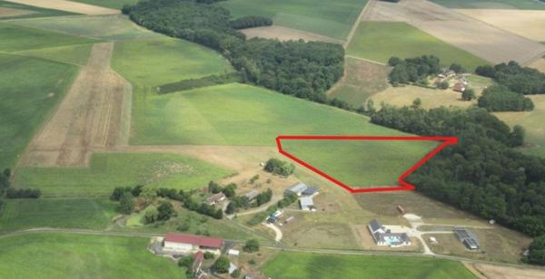 Grand terrain constructible de 29 960 m² avec piste d’aviation – Idéal promoteur immobilier – Vicq-sur-Nahon (36600)