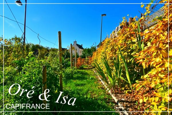 Maison à vendre 1 pièces CULAN (18)