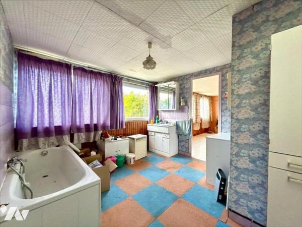 Pour investisseurs! ensemble de deux maisons + un hangar