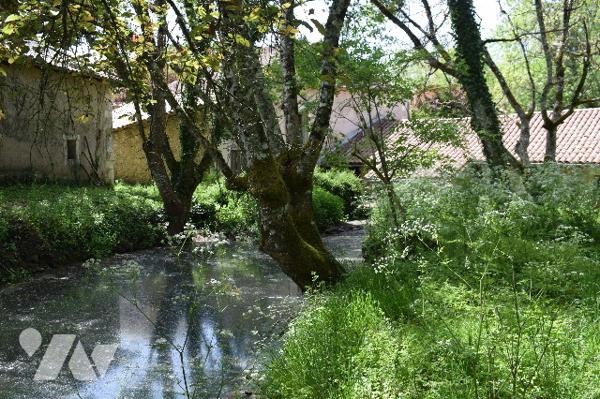 Maison avec Moulin attenant MANZAC SUR VERN dans le PERIGORD BLANC