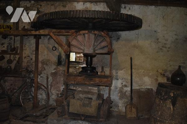 Maison avec Moulin attenant MANZAC SUR VERN dans le PERIGORD BLANC