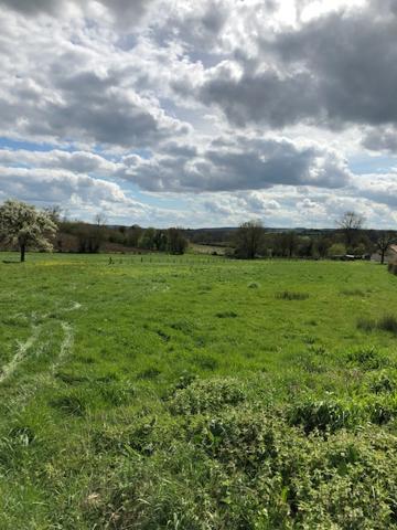 Terrain à bâtir Gournay En Bray 1045 m2