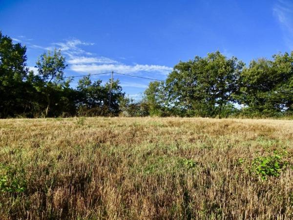 Vente / Terrain à Cazaux-Savès (32130)