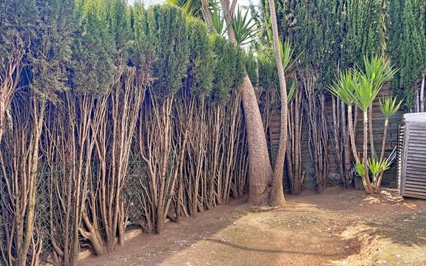 Appartement à vendre    2 pièces • 42 m2 Villeneuve-Loubet