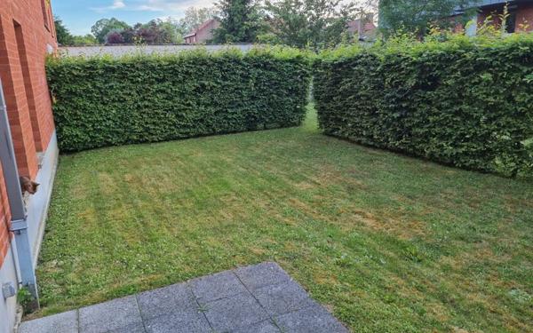 Appartement à louer    2 pièces •  Templeuve