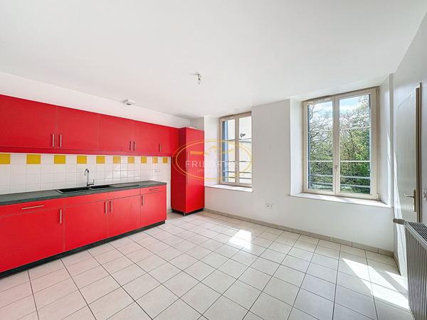 SPACIEUX APPARTEMENT F4 DE 112 m2 EN PLEIN COEUR DE COMMERCY Commercy