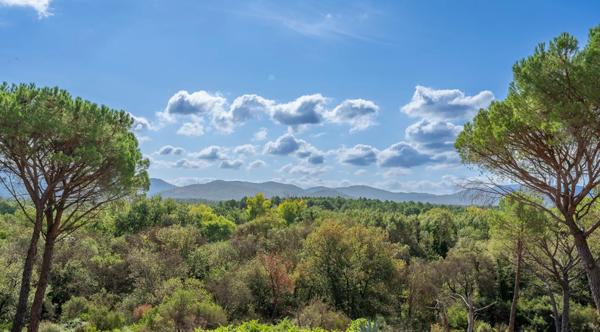 VIDAUBAN - MAISON 4 PIÈCES - 180 M² - TERRAIN 2 500 M² - PISCINE